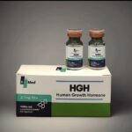 Human Growth Hormone 3.7mg
